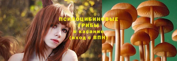 дмт Сафоново