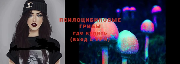 Альфа ПВП Саяногорск