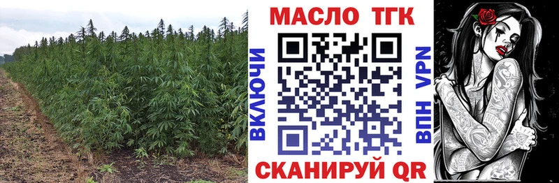 Купить закладки  Катайск  ТГК концентрат 