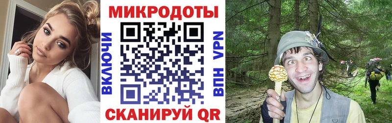 Галлюциногенные грибы мицелий  Купить закладки  Катайск 
